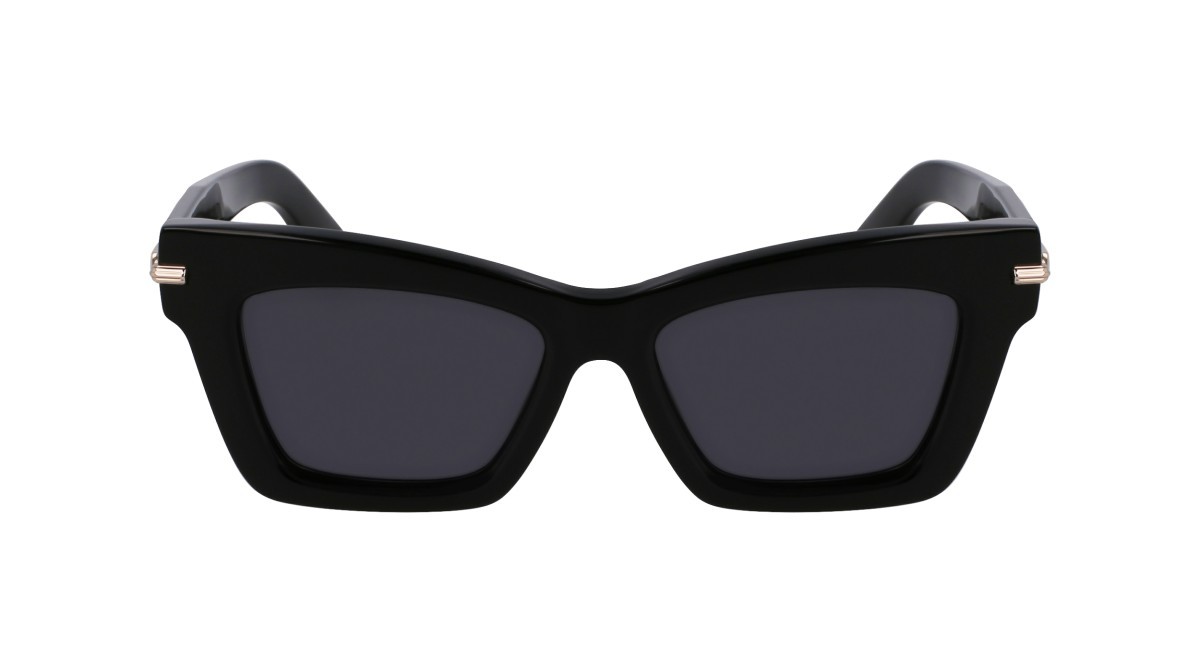 Sunglasses Salvatore Ferragamo SF2031S (001) color black shape rectangle lenses solid grey