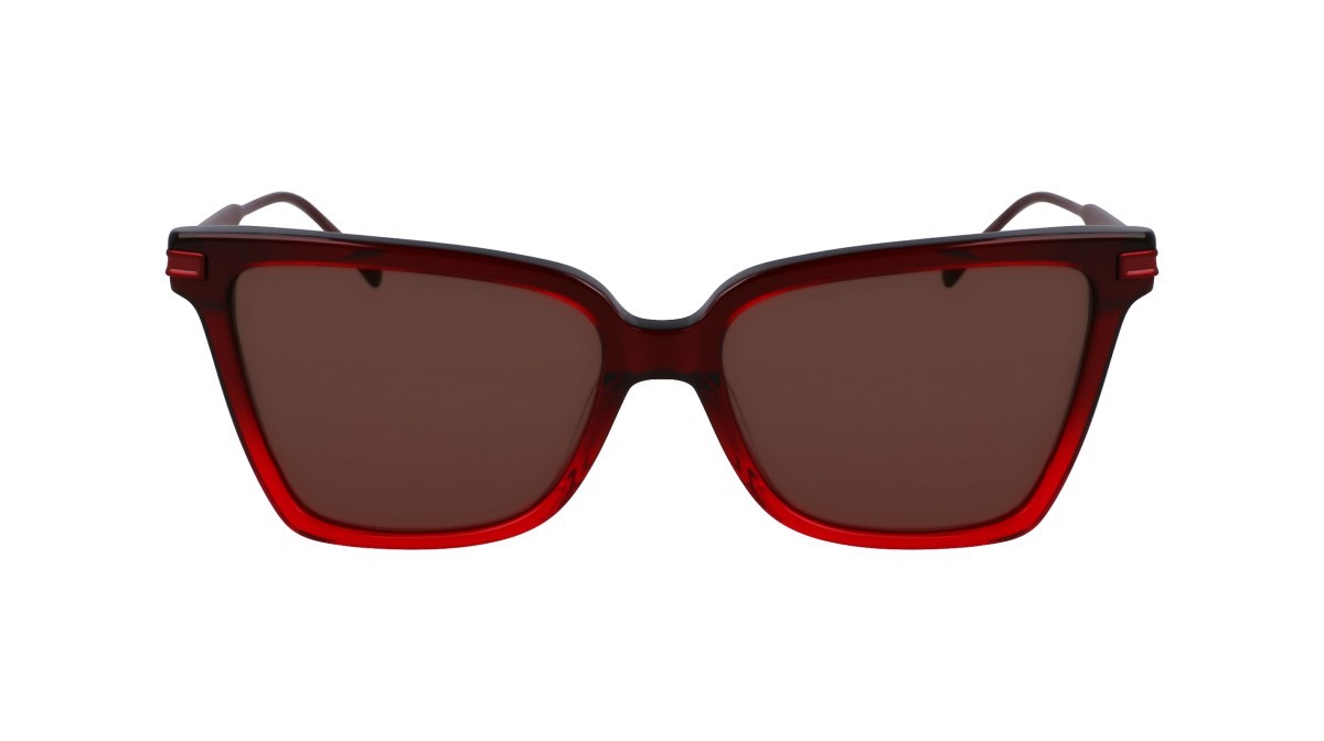 Sonnenbrillen Salvatore Ferragamo SF2036S (615) farbe gradient transparent dark red form schmetterling gläser solid brown