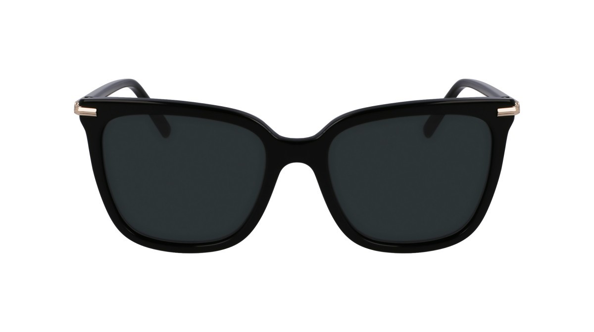 Sunglasses Salvatore Ferragamo SF2037S (001) color black shape butterfly lenses solid grey