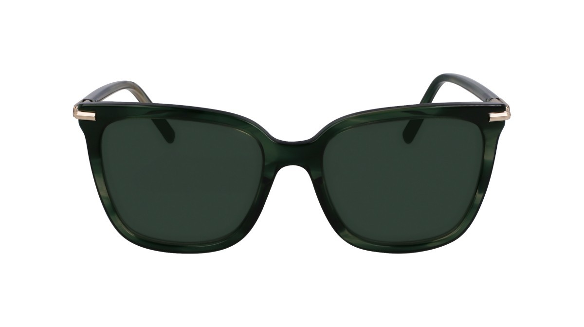 Sunglasses Salvatore Ferragamo SF2037S (315) color striped green shape butterfly lenses solid green
