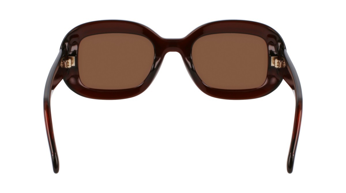 Sonnenbrillen Salvatore Ferragamo SF2038SE (232) farbe transparent brown form oval gläser solid brown