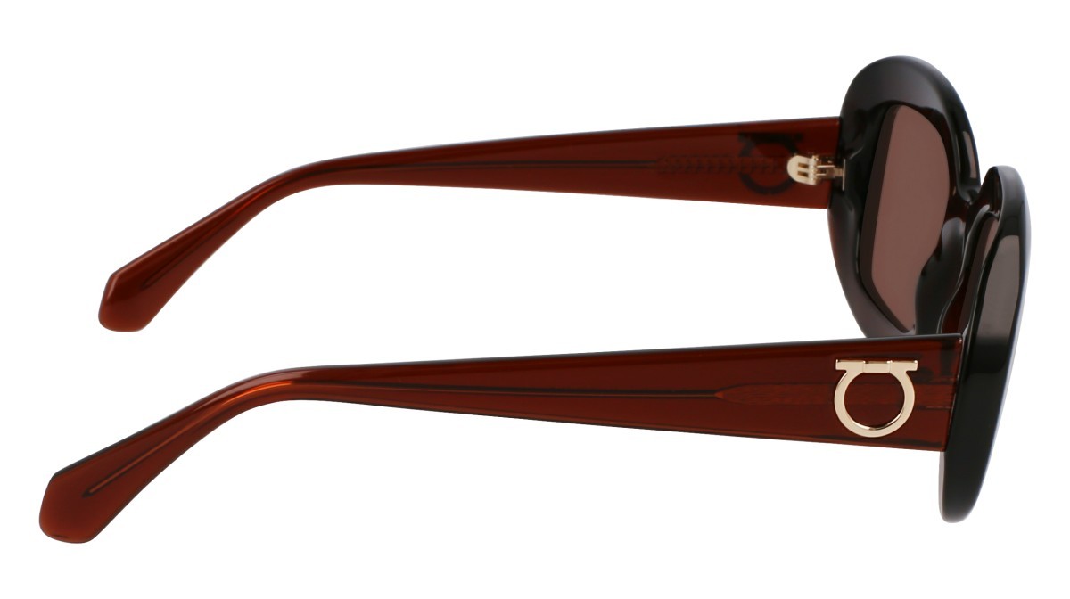 Sonnenbrillen Salvatore Ferragamo SF2038SE (232) farbe transparent brown form oval gläser solid brown