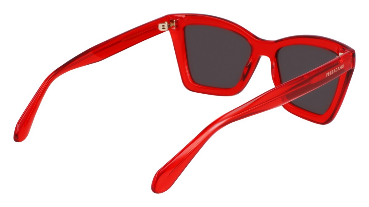 Sonnenbrillen Salvatore Ferragamo SF2039SE (616) farbe transparent red form rechteckig gläser solid grey