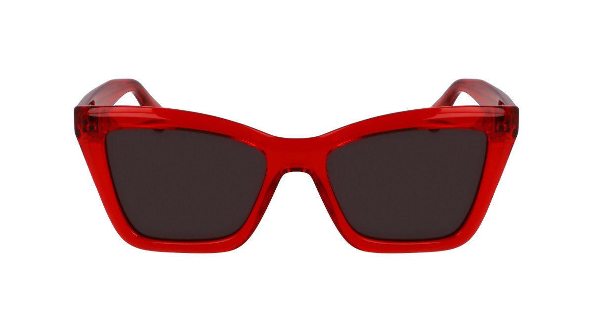 Sonnenbrillen Salvatore Ferragamo SF2039SE (616) farbe transparent red form rechteckig gläser solid grey