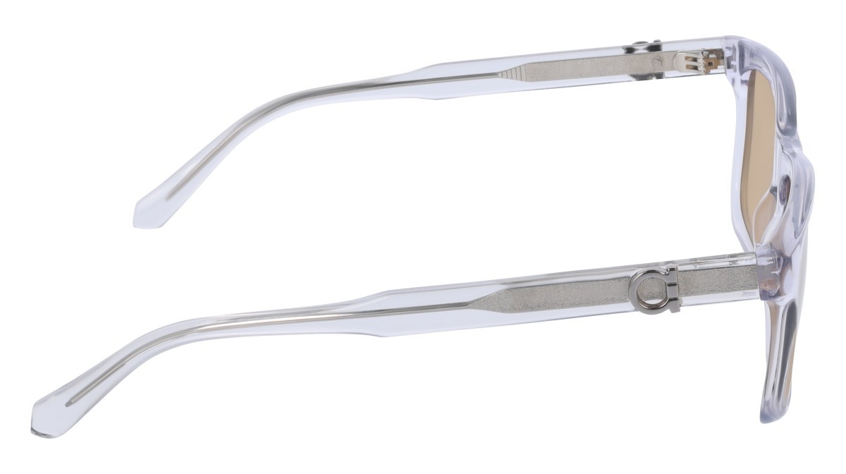 Sunglasses Salvatore Ferragamo SF2060SE (020) color transparent grey shape rectangle lenses solid ochre