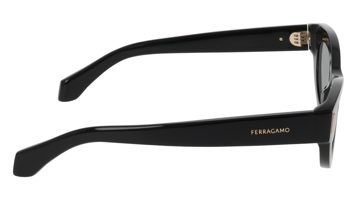 Sunglasses Salvatore Ferragamo SF2062SE (001) color black shape cat eye lenses solid grey