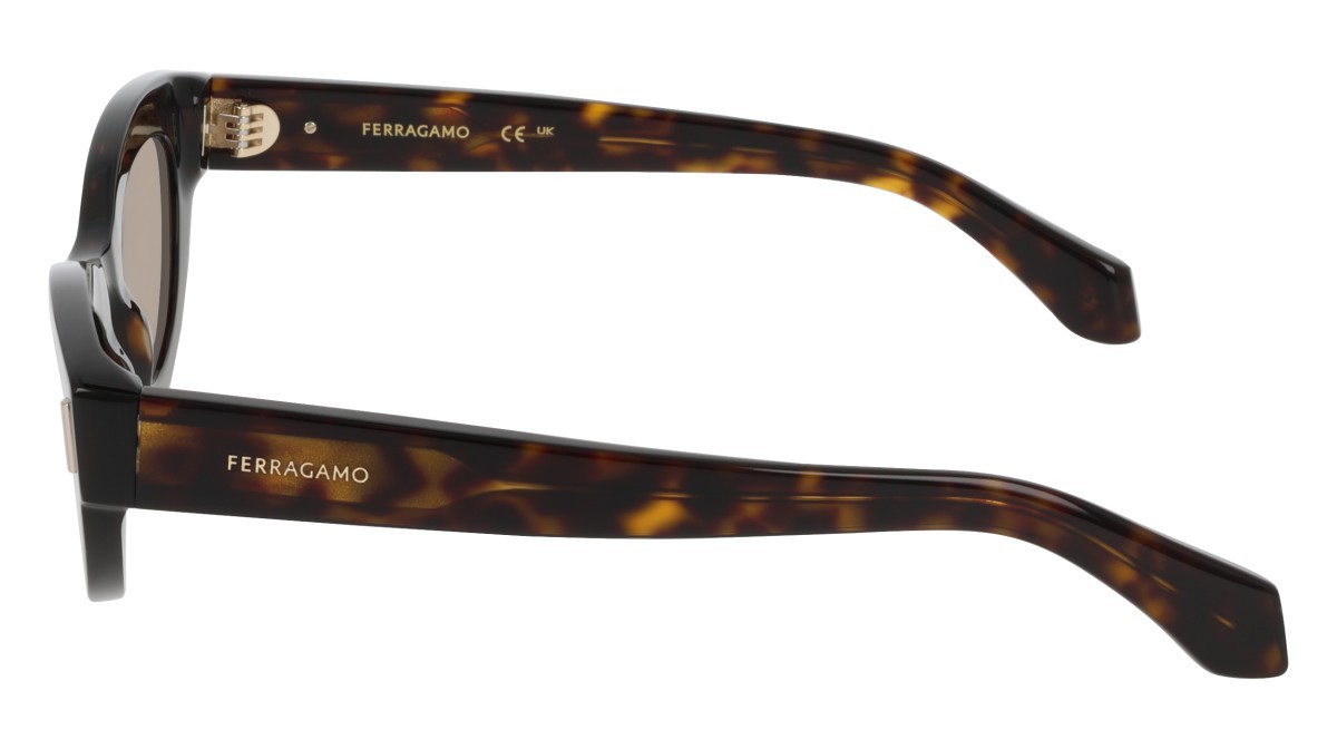Sunglasses Salvatore Ferragamo SF2062SE (242) color dark tortoise shape cat eye lenses solid brown