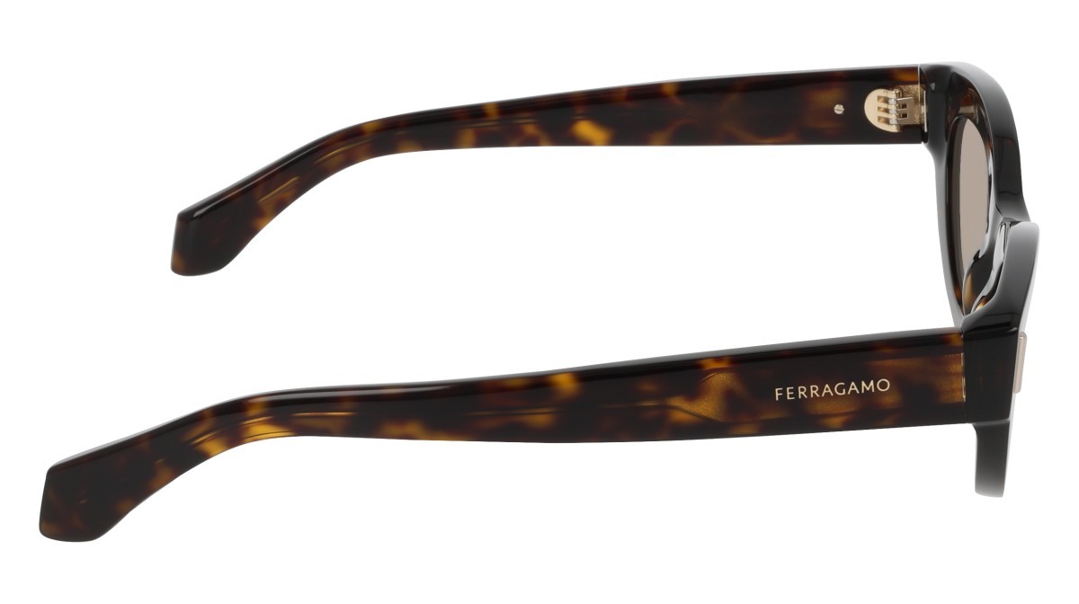 Sunglasses Salvatore Ferragamo SF2062SE (242) color dark tortoise shape cat eye lenses solid brown
