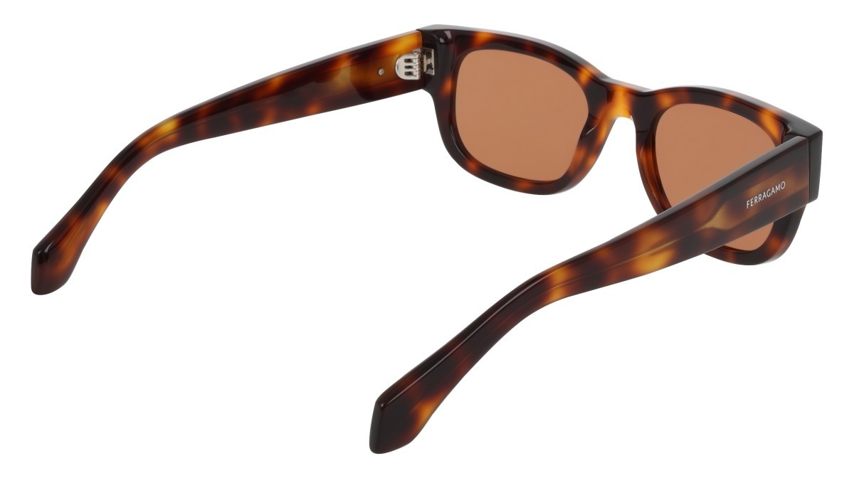 Sonnenbrillen Salvatore Ferragamo SF2064SE (240) farbe tortoise form rechteckig gläser solid brick
