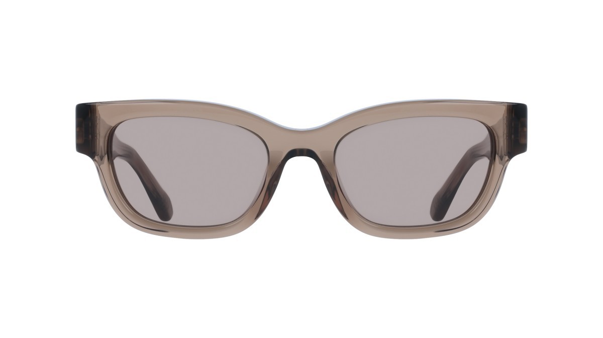 Sunglasses Salvatore Ferragamo SF2067S (232) color transparent brown shape rectangle lenses solid brown