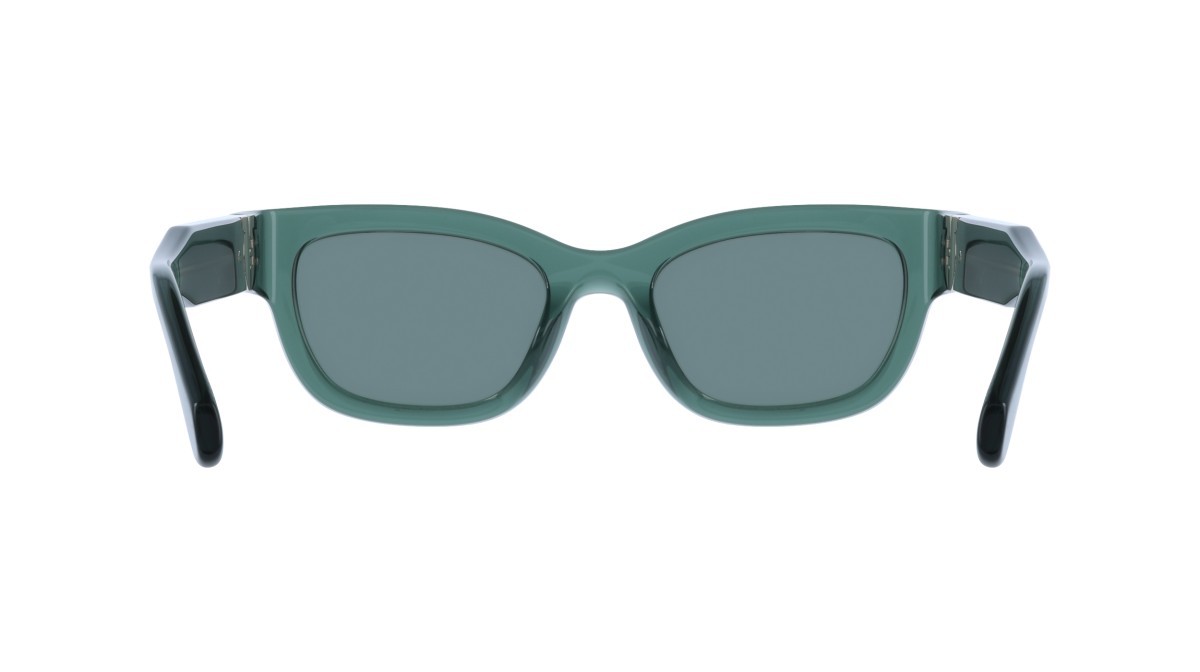 Sunglasses Salvatore Ferragamo SF2067S (317) color transparent green shape rectangle lenses solid green
