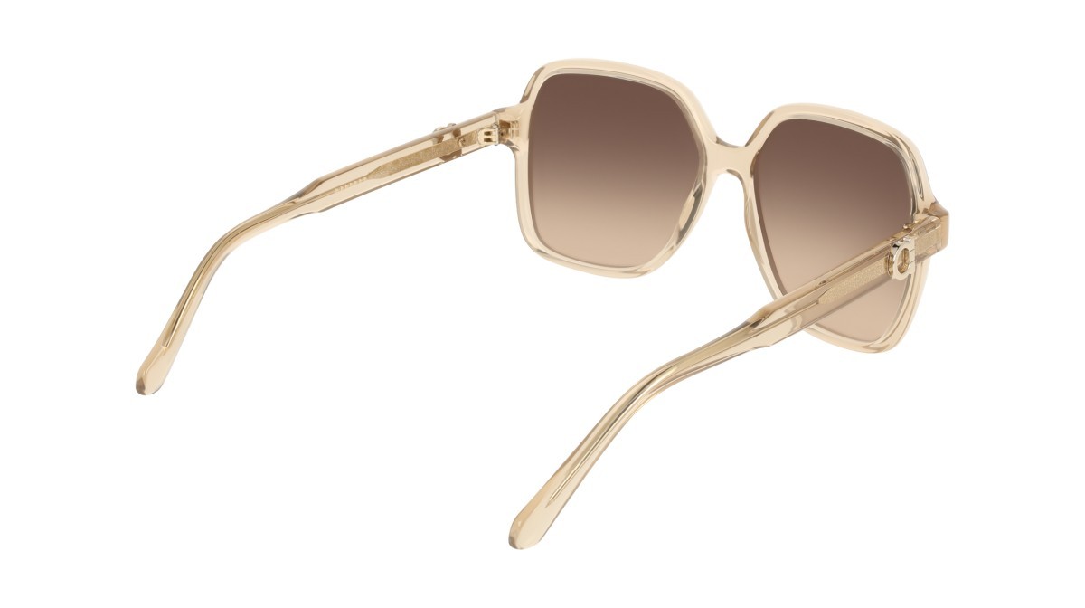 Sunglasses Salvatore Ferragamo SF2069SE (259) color transparent beige shape rectangle lenses gradient brown