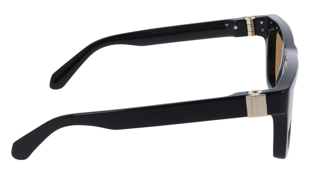 Sunglasses Salvatore Ferragamo SF2071S (011) color black/gold shape square lenses solid brown