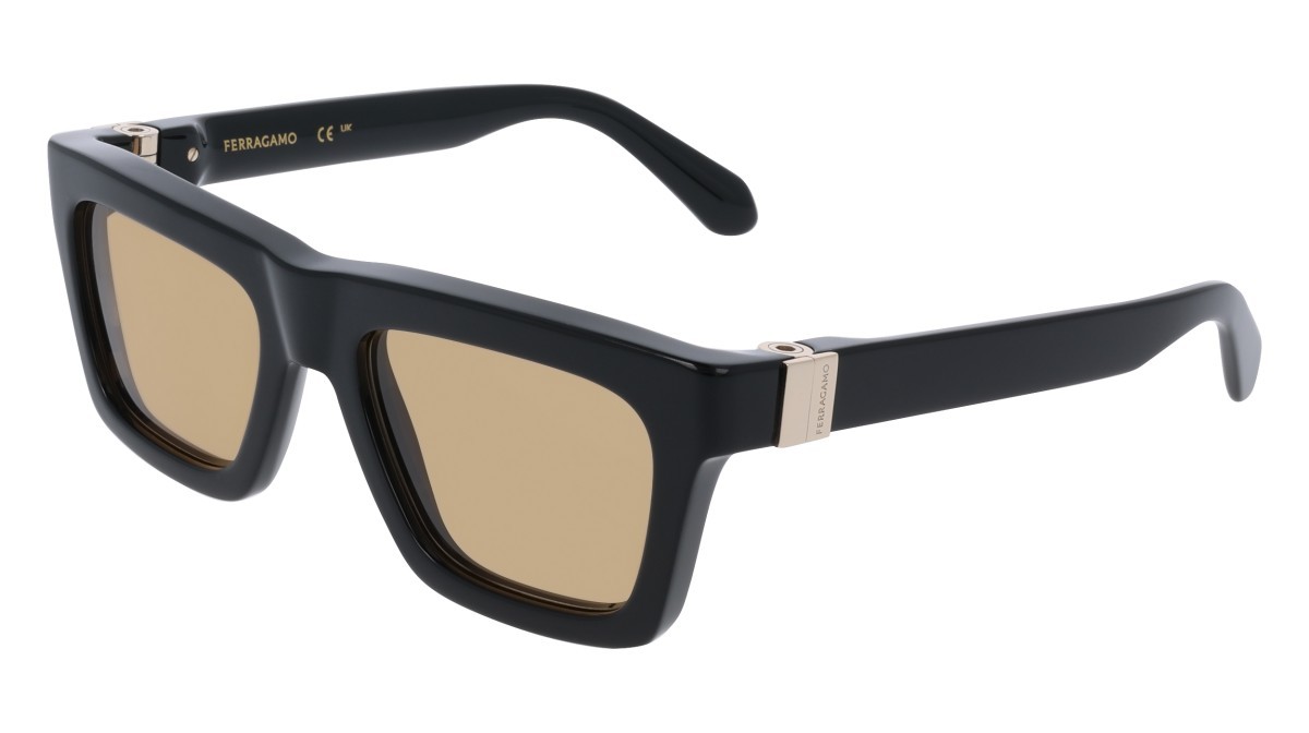 Sunglasses Salvatore Ferragamo SF2071S (011) color black/gold shape square lenses solid brown