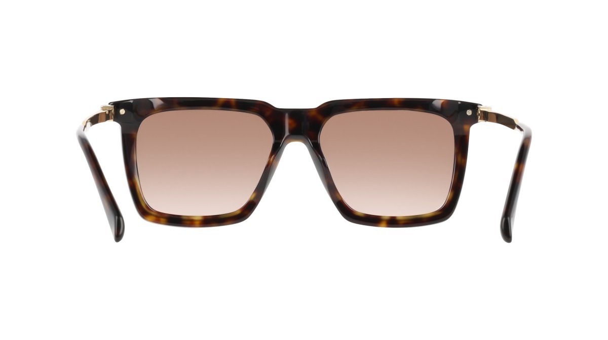 Sunglasses Salvatore Ferragamo SF2077SLBI (242) color dark tortoise shape square lenses gradient brown