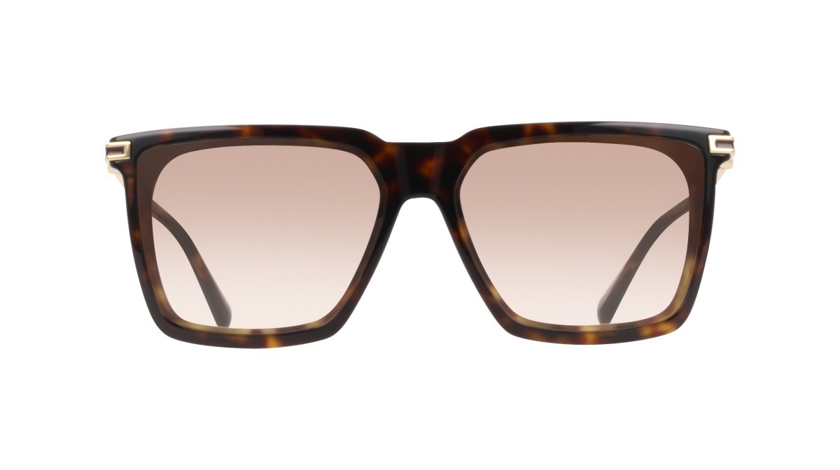 Sunglasses Salvatore Ferragamo SF2077SLBI (242) color dark tortoise shape square lenses gradient brown
