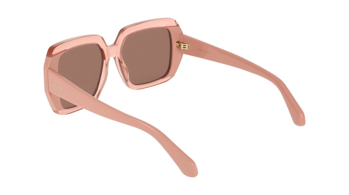 Occhiali da sole Salvatore Ferragamo SF2081S (668) colore transparent rose/pink forma rettangolare lenti solid brown