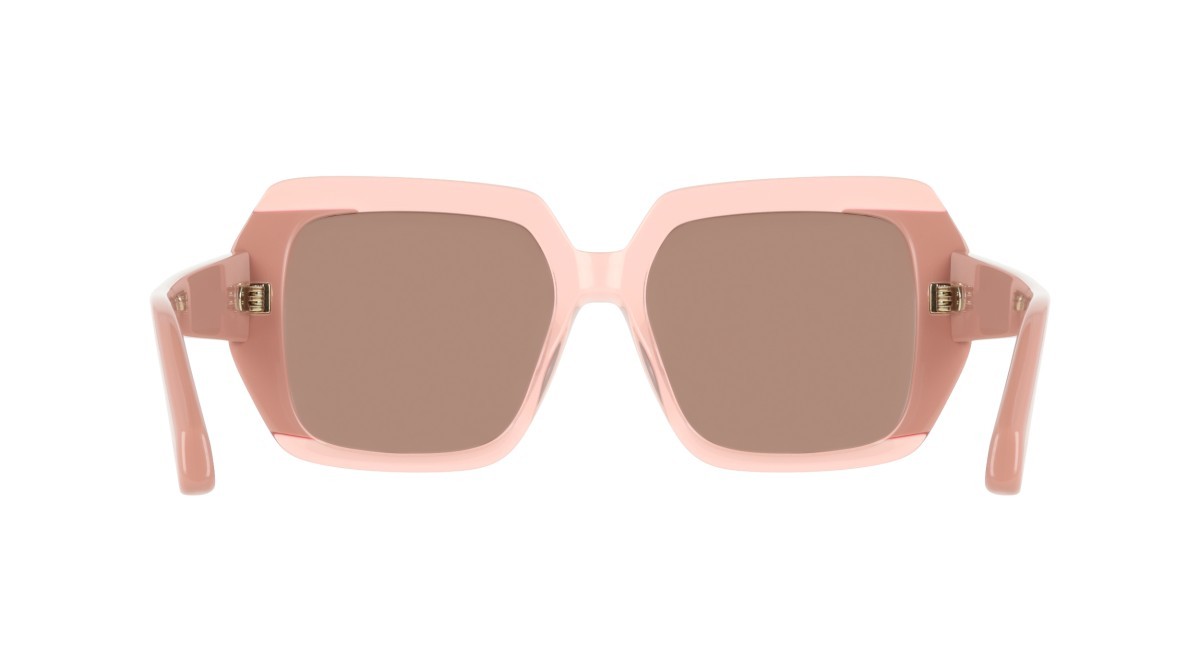 Occhiali da sole Salvatore Ferragamo SF2081S (668) colore transparent rose/pink forma rettangolare lenti solid brown