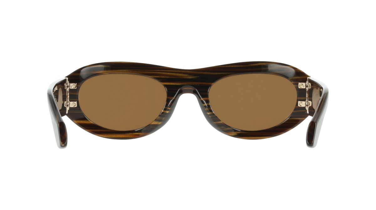 Occhiali da sole Salvatore Ferragamo SF2082SE (223) colore tiger eye forma ovale lenti solid brown