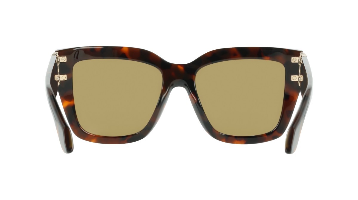 Sunglasses Salvatore Ferragamo SF2083SE (219) color brown tortoise shape rectangle lenses solid khaki