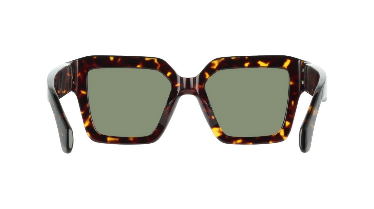 Sunglasses Salvatore Ferragamo SF2084S (242) color dark tortoise shape rectangle lenses solid green