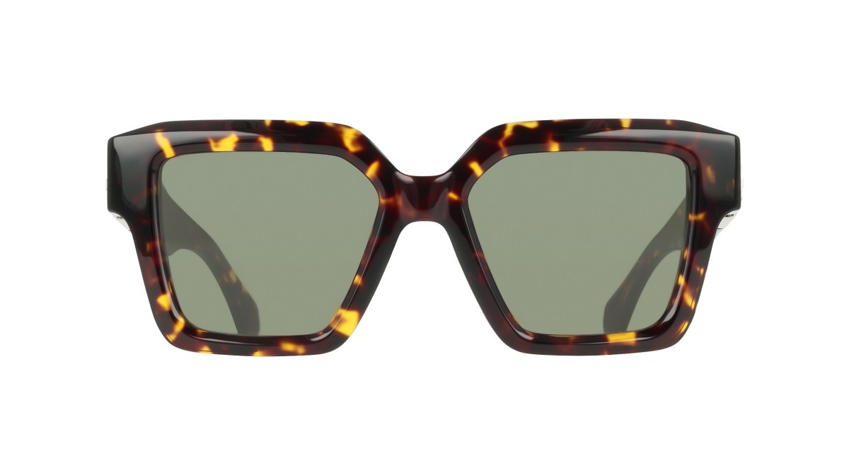 Sunglasses Salvatore Ferragamo SF2084S (242) color dark tortoise shape rectangle lenses solid green