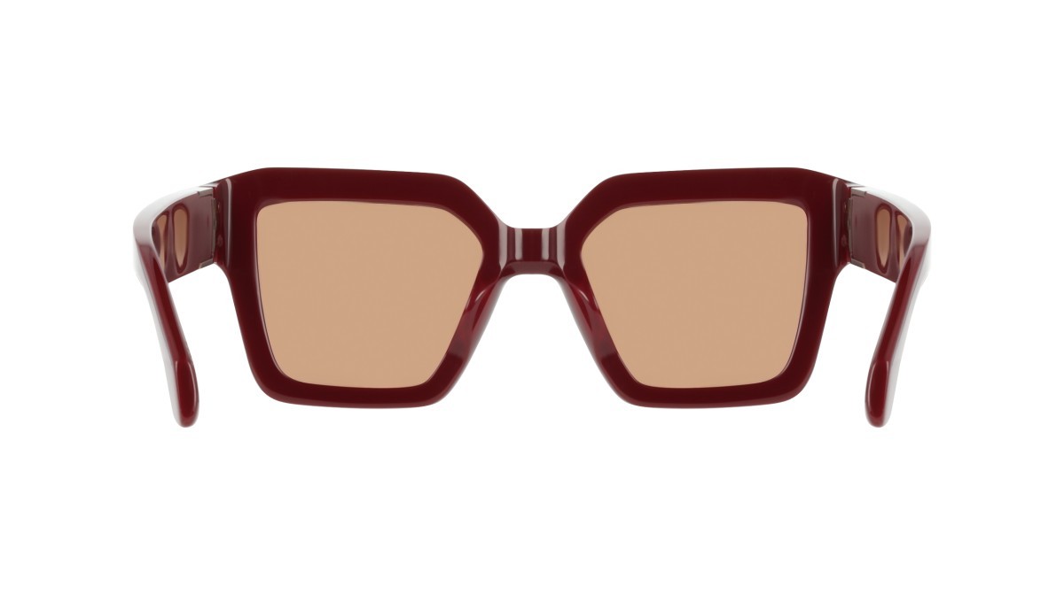 Sunglasses Salvatore Ferragamo SF2084S (606) color burgundy shape rectangle lenses solid brown