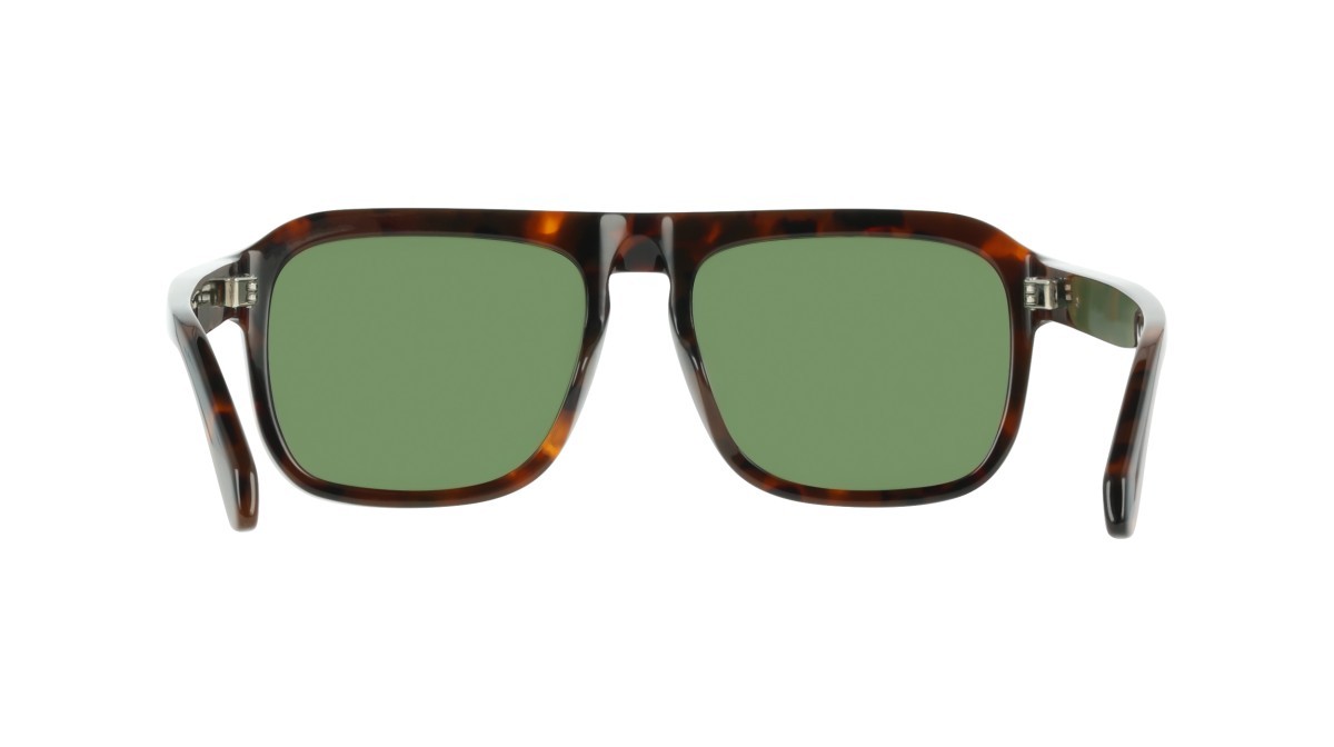 Sunglasses Salvatore Ferragamo SF2087S (240) color tortoise shape rectangle lenses solid green