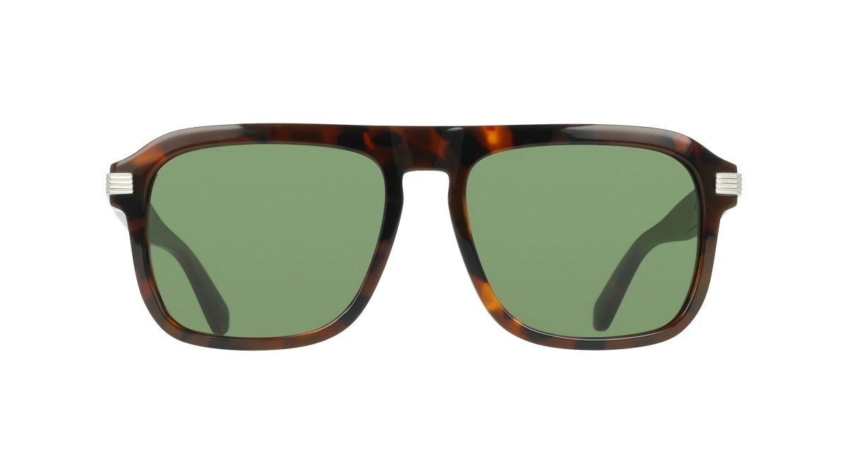 Sunglasses Salvatore Ferragamo SF2087S (240) color tortoise shape rectangle lenses solid green