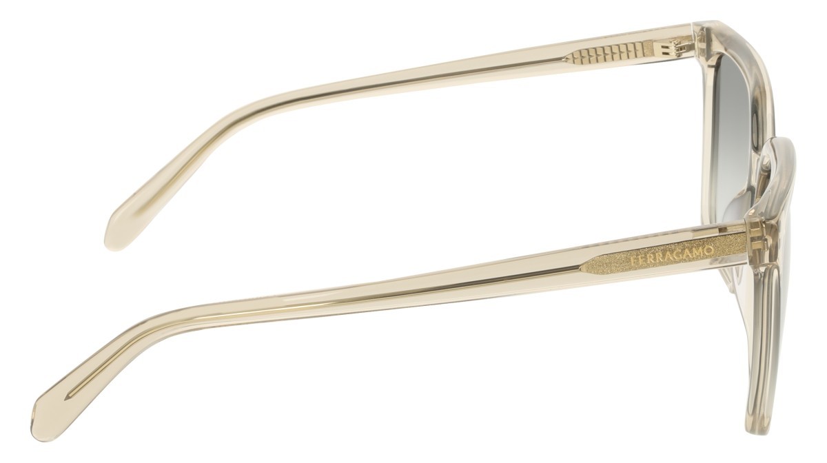 Sunglasses Salvatore Ferragamo SF2102S (313) color transparent sage shape rectangle lenses gradient grey