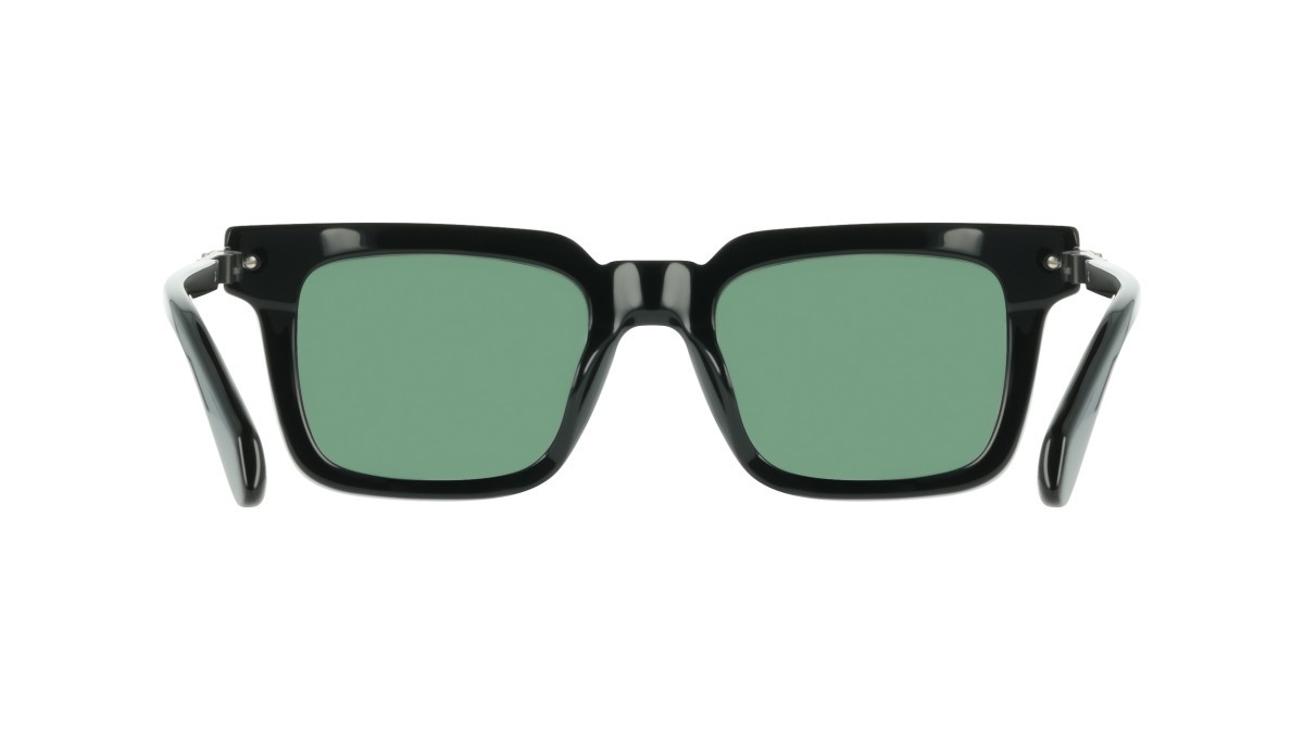 Sunglasses Salvatore Ferragamo SF2103S (001) color black shape rectangle lenses solid green