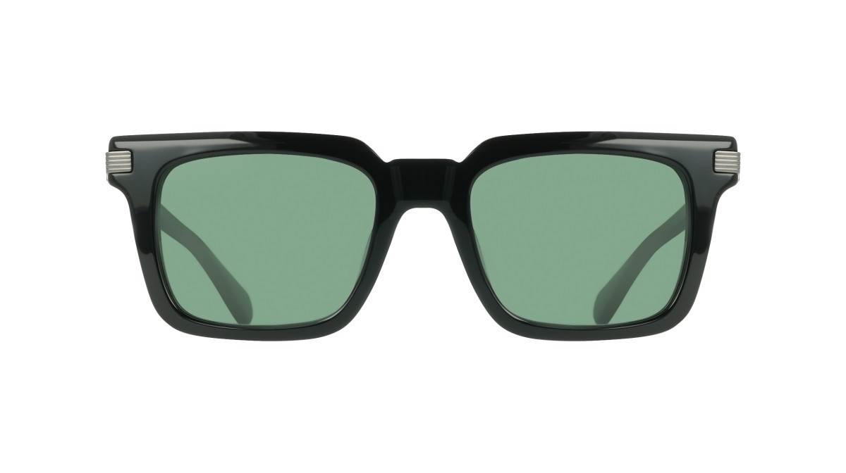 Sunglasses Salvatore Ferragamo SF2103S (001) color black shape rectangle lenses solid green