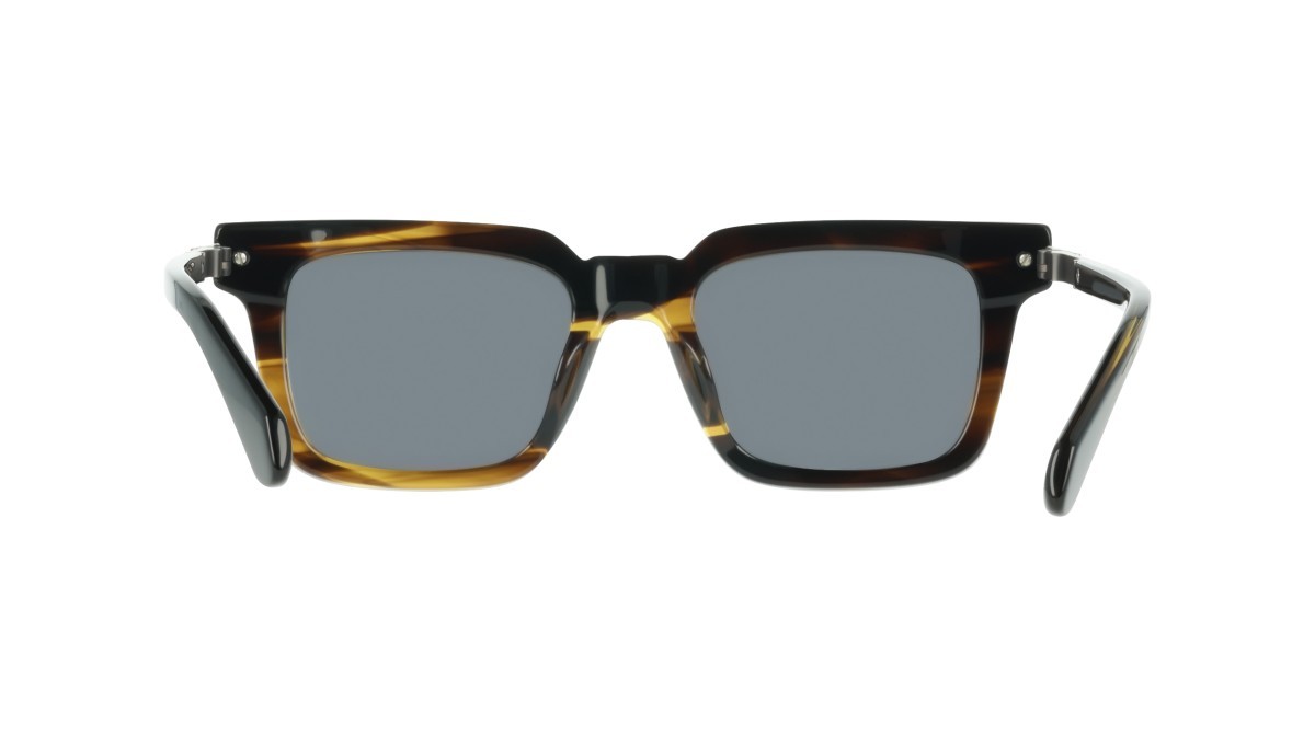 Sunglasses Salvatore Ferragamo SF2103S (323) color khaki horn shape rectangle lenses solid grey