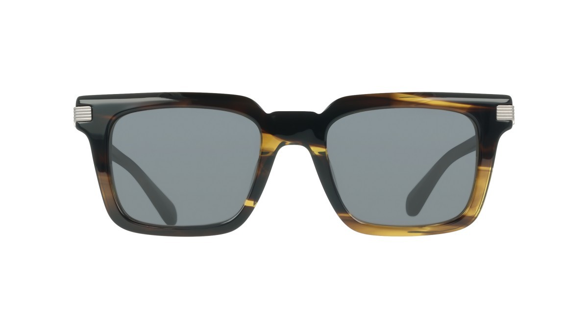 Sunglasses Salvatore Ferragamo SF2103S (323) color khaki horn shape rectangle lenses solid grey