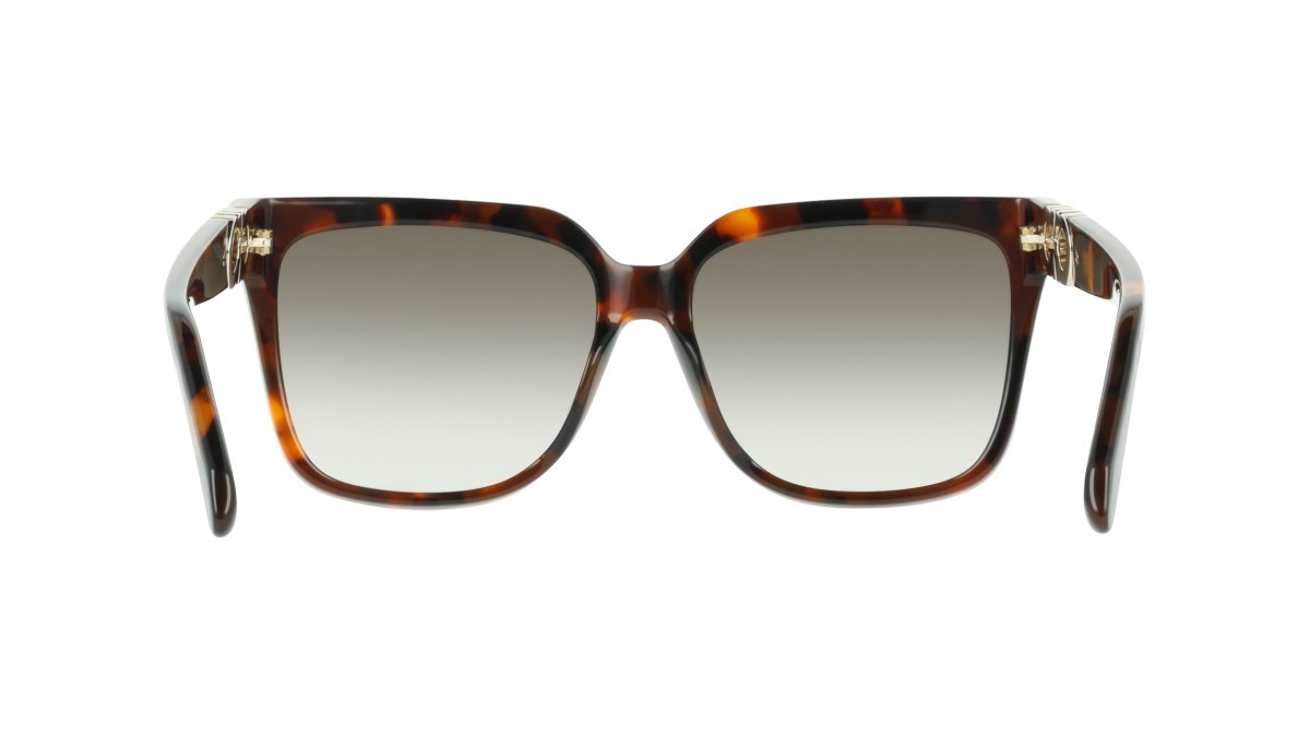 Sunglasses Salvatore Ferragamo SF2109S (240) color tortoise shape rectangle lenses gradient khaki