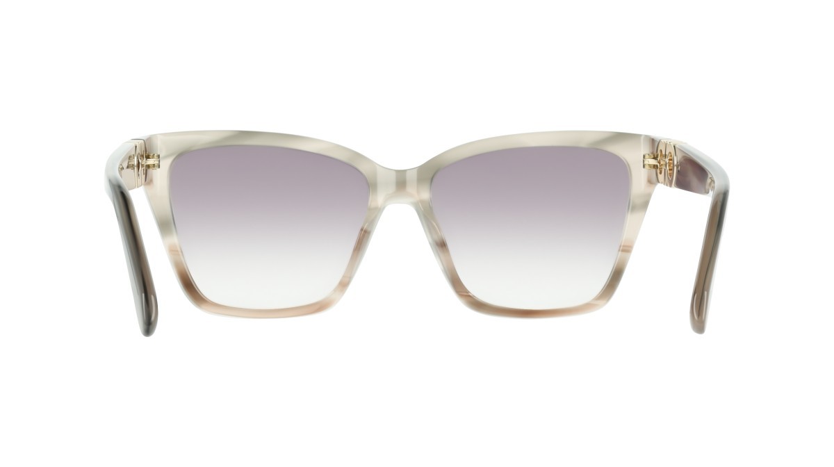 Occhiali da sole Salvatore Ferragamo SF2110S (013) colore striped taupe nude forma rettangolare lenti gradient grey