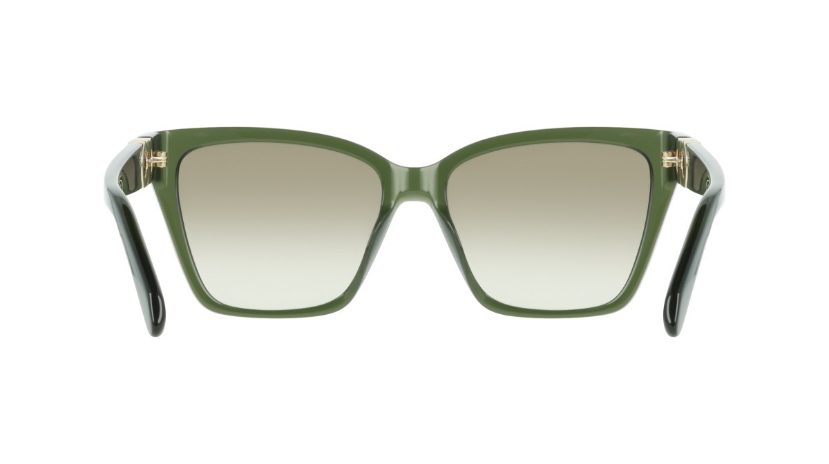 Sunglasses Salvatore Ferragamo SF2110S (320) color transparent khaki shape rectangle lenses gradient khaki