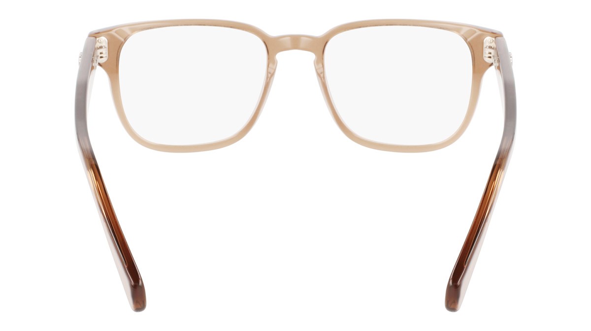 Brillen Salvatore Ferragamo SF2924 (232) farbe transparent brown form rechteckig 