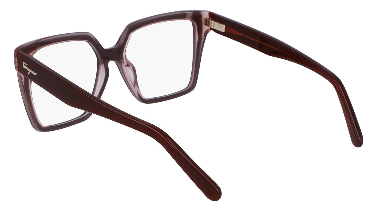 Brillen Salvatore Ferragamo SF2950 (211) farbe brown/nude form rechteckig 