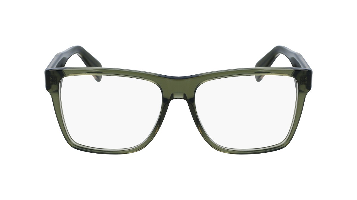Brillen Salvatore Ferragamo SF2953 (320) farbe transparent khaki form rechteckig 