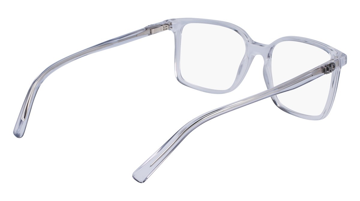 Brillen Salvatore Ferragamo SF2954 (050) farbe light crystal grey form rechteckig 