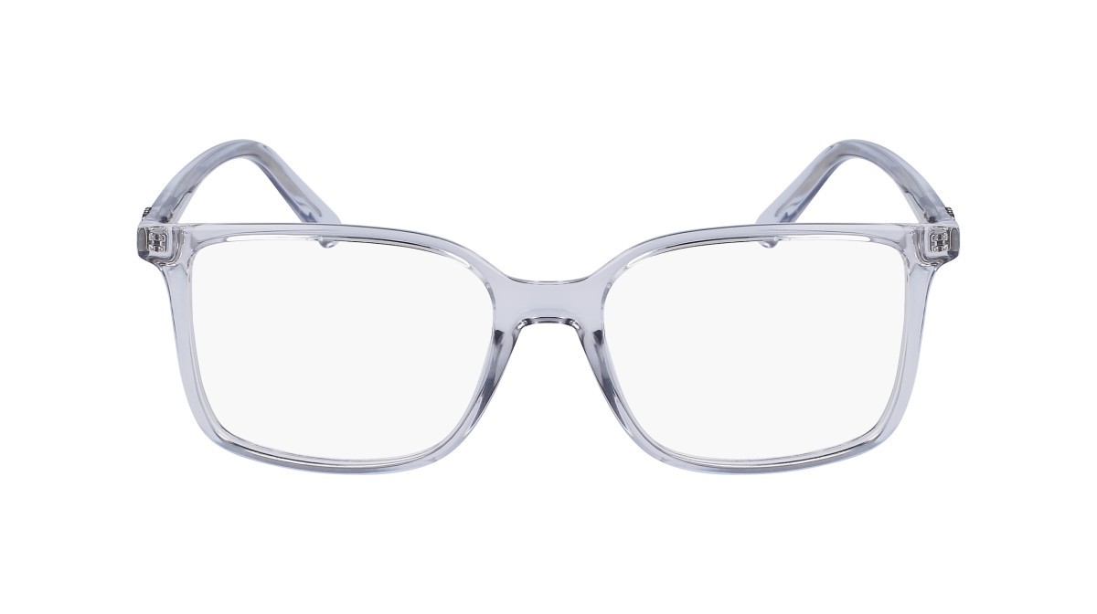 Brillen Salvatore Ferragamo SF2954 (050) farbe light crystal grey form rechteckig 