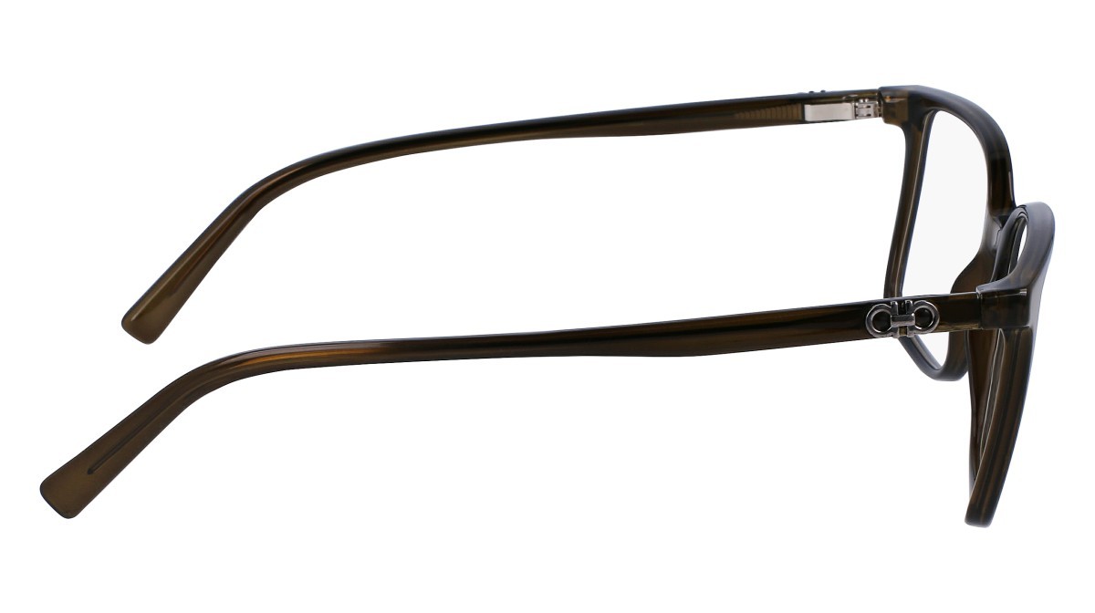 Brillen Salvatore Ferragamo SF2954 (275) farbe crystal khaki form rechteckig 