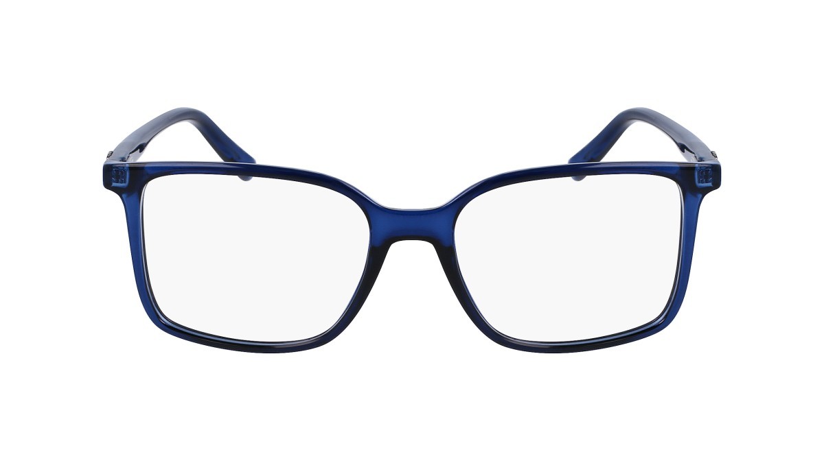 Brillen Salvatore Ferragamo SF2954 (420) farbe crystal navy form rechteckig 