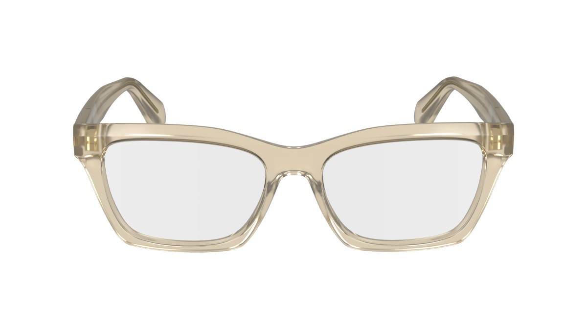 Brillen Salvatore Ferragamo SF2986 (259) farbe transparent beige form rechteckig gläser demo