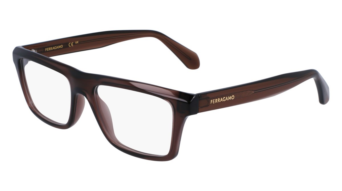 Brillen Salvatore Ferragamo SF2988 (232) farbe transparent brown form rechteckig gläser demo