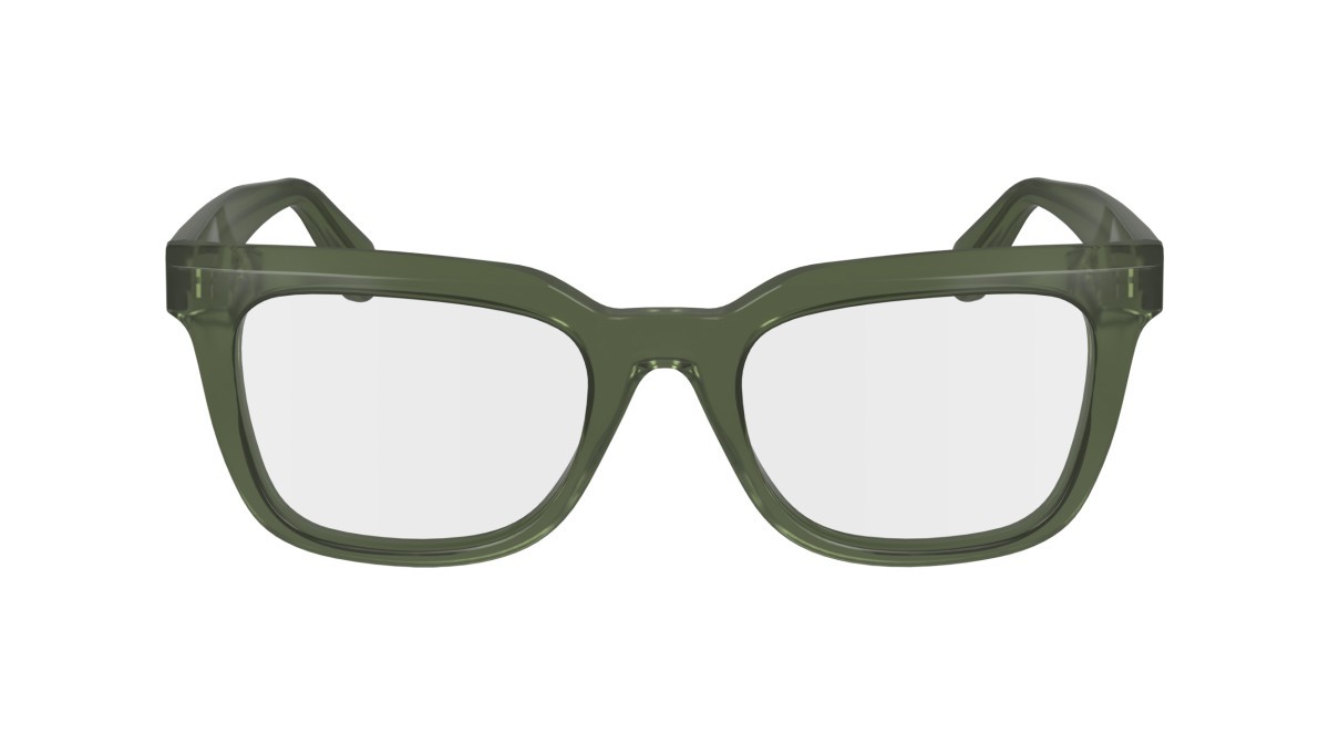 Brillen Salvatore Ferragamo SF2990 (320) farbe transparent khaki form rechteckig gläser demo