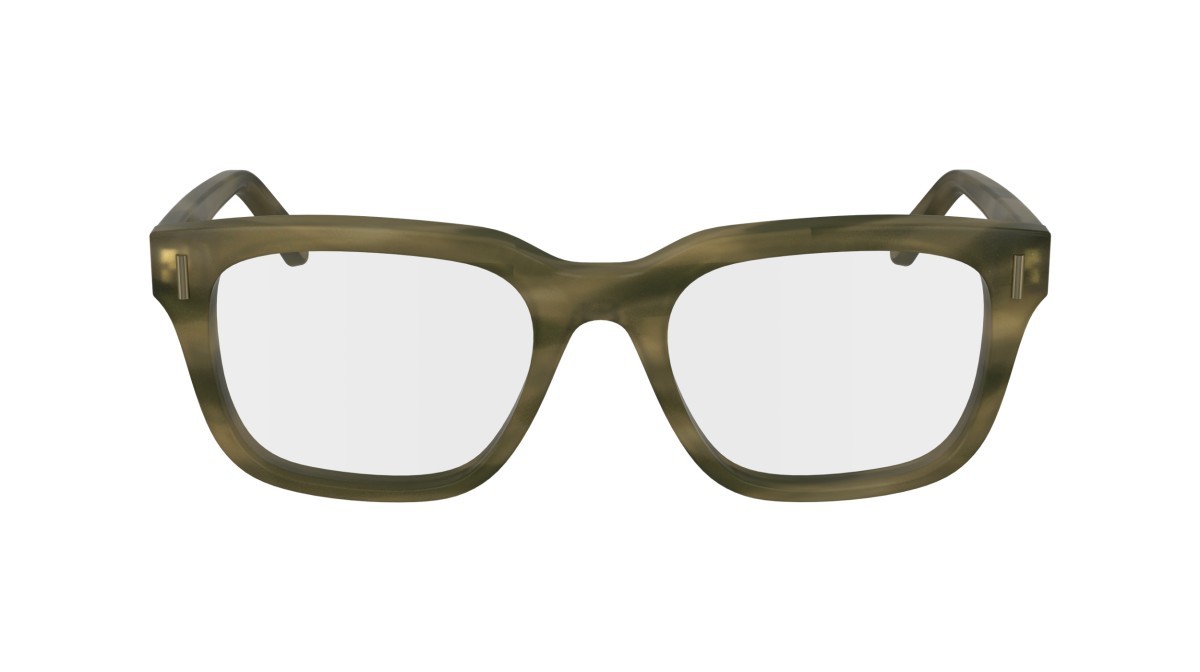 Brillen Salvatore Ferragamo SF2996 (319) farbe striped khaki form rechteckig gläser demo
