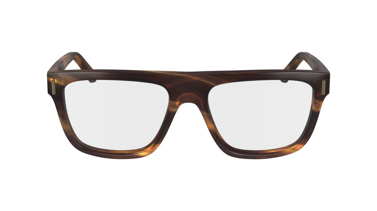 Brillen Salvatore Ferragamo SF2997 (216) farbe striped brown form navigator gläser demo