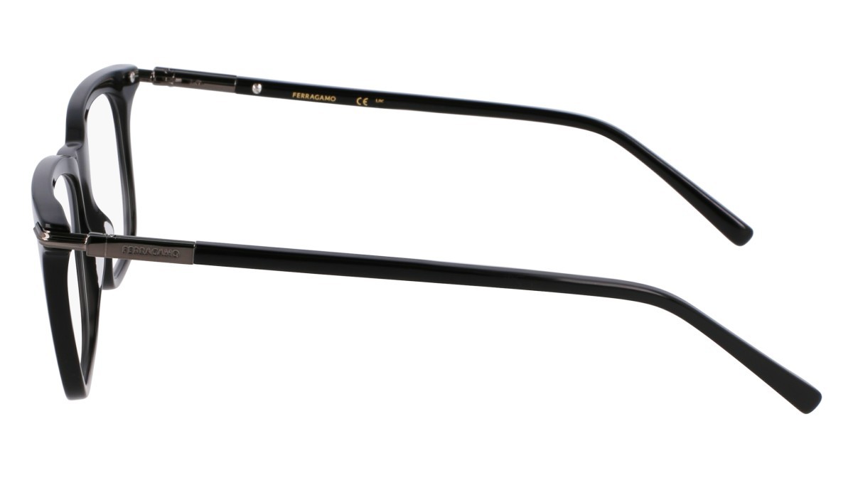 Eyeglasses Salvatore Ferragamo SF3007 (001) color black shape rectangle lenses black